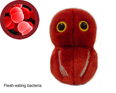 bacteria-flesheating copy bacteria-flesheating copy